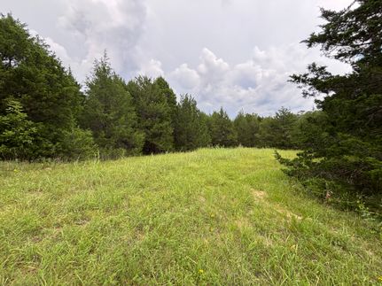 Timberland Property for sale in Washington County, Alabama