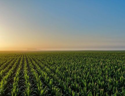 Land for sale in Greene County, Iowa