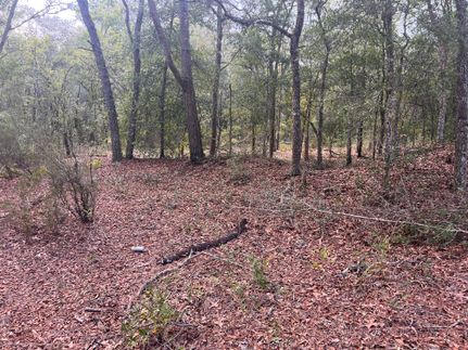 Land for sale in Levy County, Florida