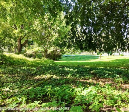 Timberland Property for sale in Clinton County, Michigan