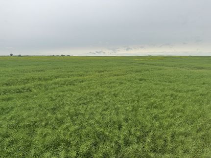 Land for sale in Burke County, North Dakota