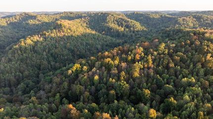 Land for sale in Lewis County, Kentucky