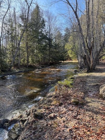 Land for sale in Waldo County, Maine