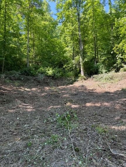 Undeveloped Land for sale in Elliott County, Kentucky
