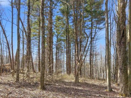 Undeveloped Land for sale in Hocking County, Ohio