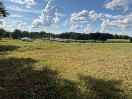 Land for sale in Crenshaw County, Alabama