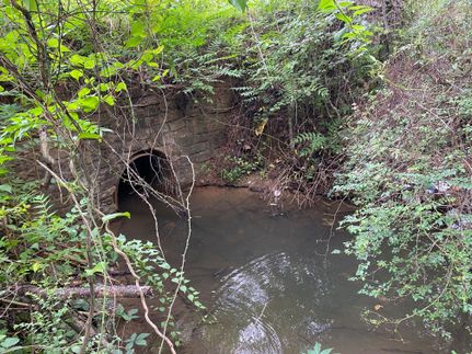 Land for sale in Pittsylvania County, Virginia