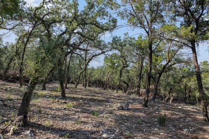 Farm and Ranch for sale in Hays County, Texas