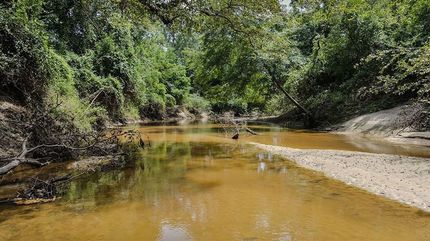 Land for sale in Jones County, Mississippi