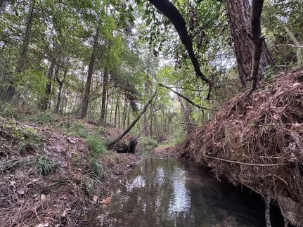 Land for sale in Trinity County, Texas