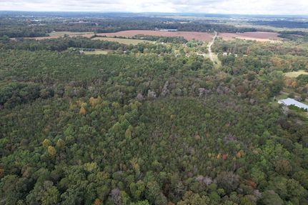 Land for sale in DeKalb County, Alabama