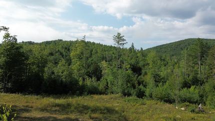 Undeveloped Land for sale in Oxford County, Maine
