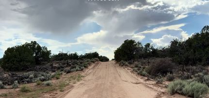 Farm and Ranch for sale in Apache County, Arizona