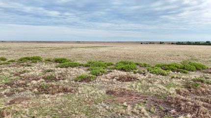 Land for sale in Roosevelt County, New Mexico