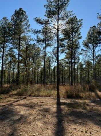 Land for sale in Talladega County, Alabama
