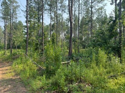 Land for sale in Cherokee County, Alabama