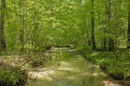 Land for sale in Morgan County, Tennessee