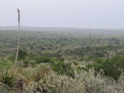 Land for sale in Val Verde County, Texas