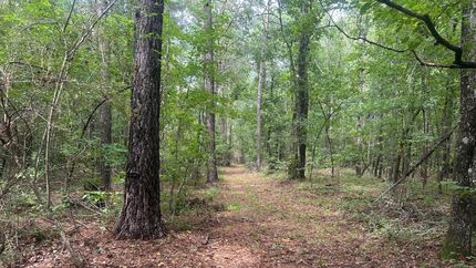Land for sale in Burke County, Georgia