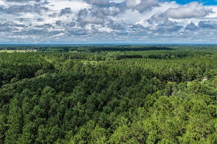 Land for sale in San Jacinto County, Texas