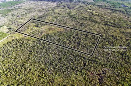 Undeveloped Land for sale in Lafayette County, Florida