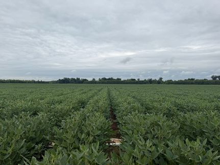 Land for sale in Jefferson County, Arkansas