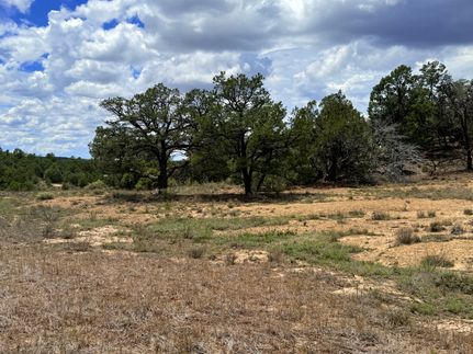 Land for sale in Cibola County, New Mexico
