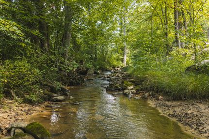 Recreational Property for sale in Hawkins County, Tennessee