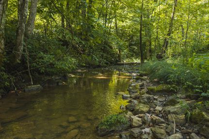 Land for sale in Hancock County, Tennessee