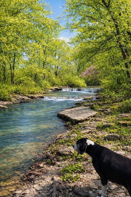 Land for sale in Oldham County, Kentucky