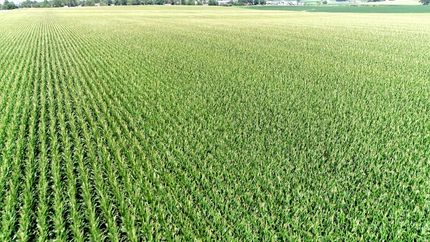 Land for sale in Black Hawk County, Iowa
