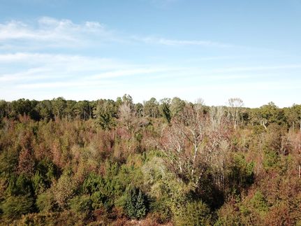 Timberland Property for sale in Fulton County, Georgia