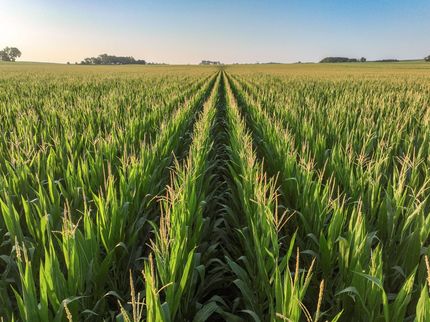 Land for sale in Thurston County, Nebraska