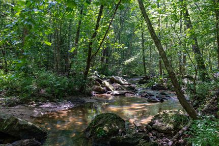 Land for sale in Madison County, Georgia