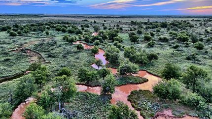 Farm and Ranch for sale in Foard County, Texas