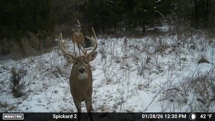 Land for sale in Grundy County, Missouri