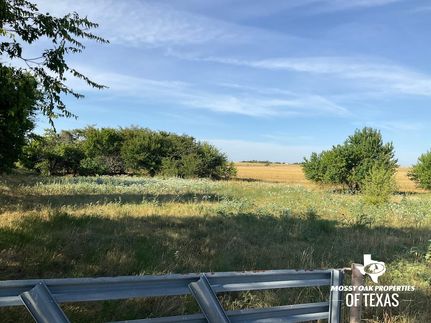 Undeveloped Land for sale in Cooke County, Texas