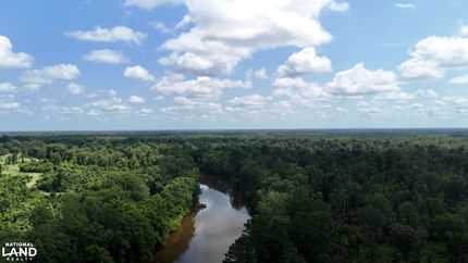 Undeveloped Land for sale in Drew County, Arkansas