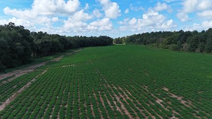 Land for sale in Houston County, Alabama