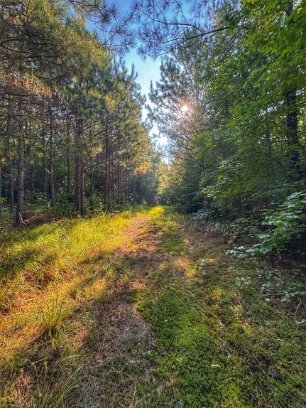 Land for sale in Marion County, Alabama