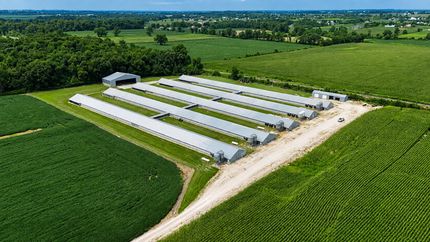 Land for sale in Daviess County, Indiana