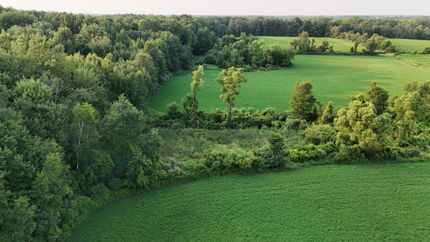 Land for sale in Sanilac County, Michigan