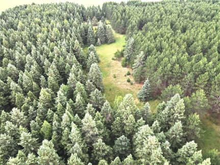 Land for sale in Crow Wing County, Minnesota