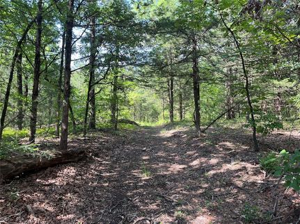 Land for sale in Fannin County, Texas