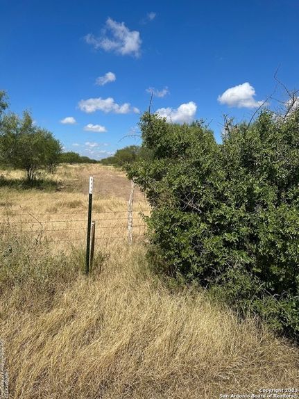 Undeveloped Land for sale in Uvalde County, Texas