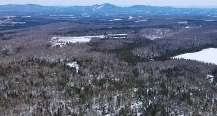 Undeveloped Land for sale in Caledonia County, Vermont