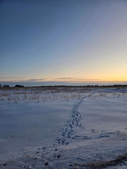 Land for sale in Norman County, Minnesota