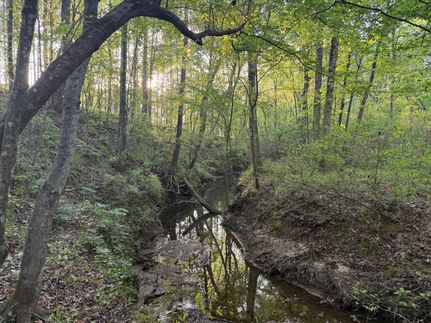 Land for sale in Greene County, Alabama
