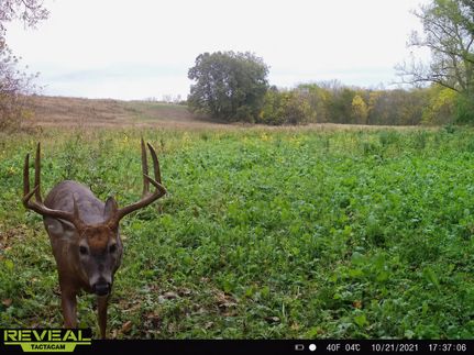 Land for sale in Putnam County, Missouri