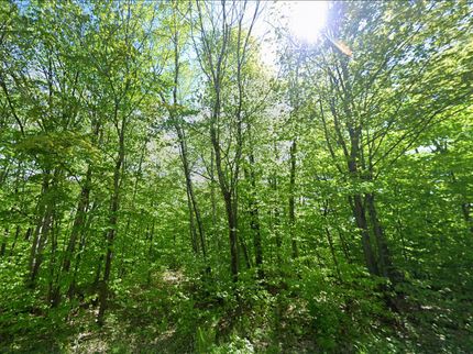 Farm and Ranch for sale in Franklin County, Maine